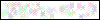 Auth Image