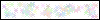 Auth Image